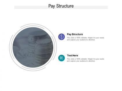 Pay structure ppt powerpoint presentation summary format cpb