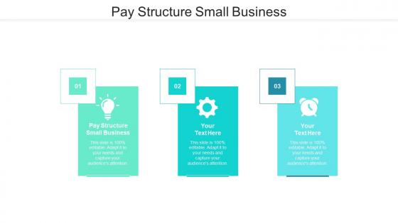 Pay structure small business ppt powerpoint presentation show cpb