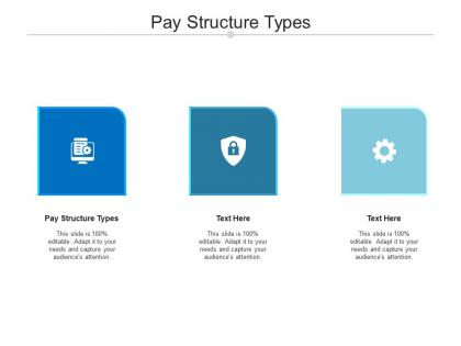Pay structure types ppt powerpoint presentation show graphics design cpb