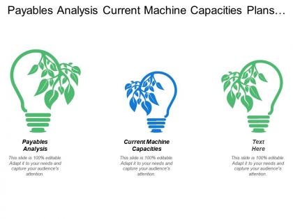 Payables analysis current machine capacities plans future capacities