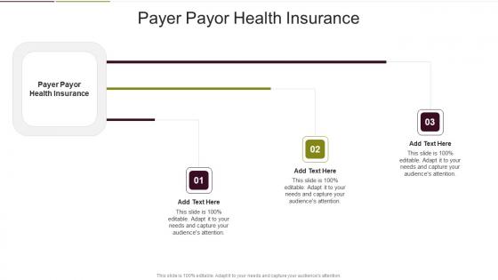 Payer Payor Health Insurance In Powerpoint And Google Slides Cpb