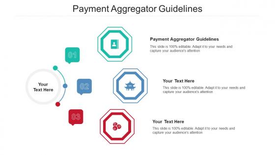 Payment Aggregator Guidelines Ppt Powerpoint Presentation Portfolio Information Cpb