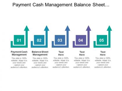 Payment cash management balance sheet management security services