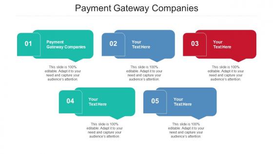 Payment Gateway Companies Ppt Powerpoint Presentation Outline Infographic Template Cpb