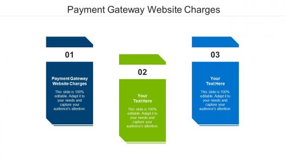 Payment gateway website charges ppt powerpoint presentation themes cpb