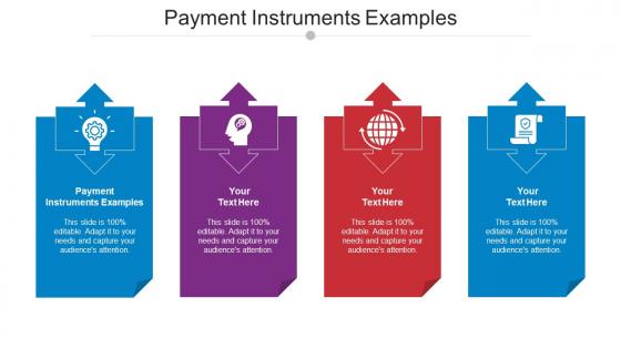 Payment Instruments Examples Ppt Powerpoint Presentation Model Guidelines Cpb