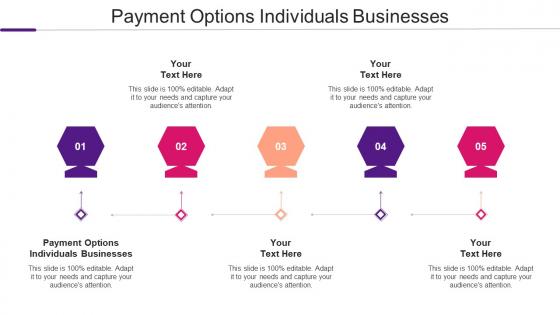 Payment Options Individuals Businesses Ppt Powerpoint Presentation Visual Aids Show Cpb