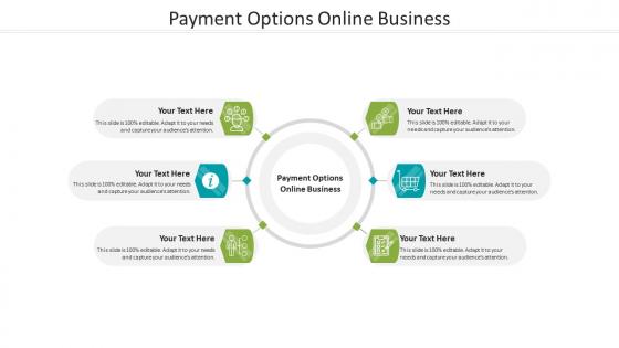 Payment options online business ppt powerpoint presentation summary visuals cpb