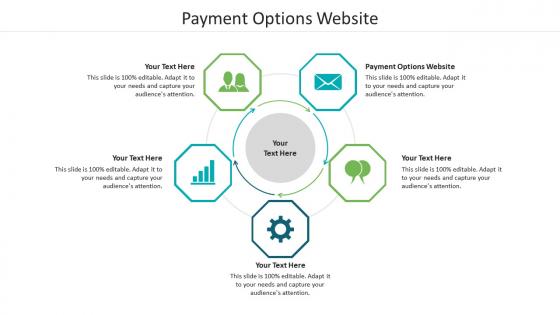 Payment options website ppt powerpoint presentation summary maker cpb