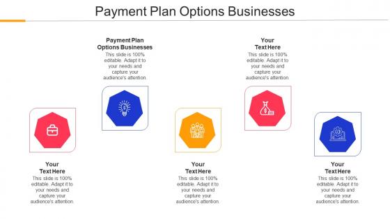 Payment Plan Options Businesses Ppt Powerpoint Presentation Inspiration Background Designs Cpb