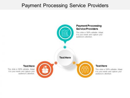 Payment processing service providers ppt powerpoint presentation file show cpb