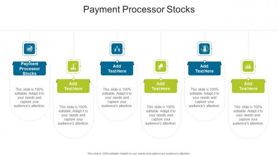 Payment Processor Stocks In Powerpoint And Google Slides Cpb