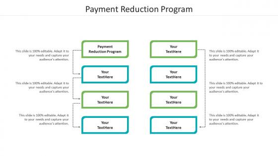 Payment reduction program ppt powerpoint presentation template cpb
