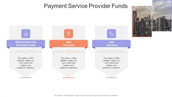 Payment Service Provider Funds In Powerpoint And Google Slides Cpb