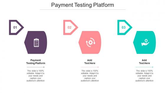 Payment Testing Platform Ppt Powerpoint Presentation Professional Templates Cpb