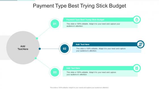 Payment Type Best Trying Stick Budget In Powerpoint And Google Slides Cpb