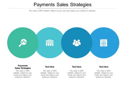 Payments sales strategies ppt powerpoint presentation file rules cpb