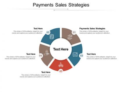 Payments sales strategies ppt powerpoint presentation pictures slides cpb