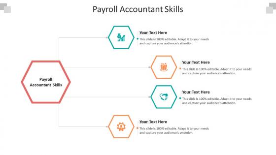 Payroll accountant skills ppt powerpoint presentation icon graphics tutorials cpb