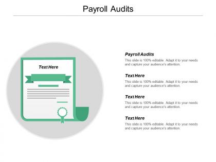 Payroll audits ppt powerpoint presentation gallery backgrounds cpb