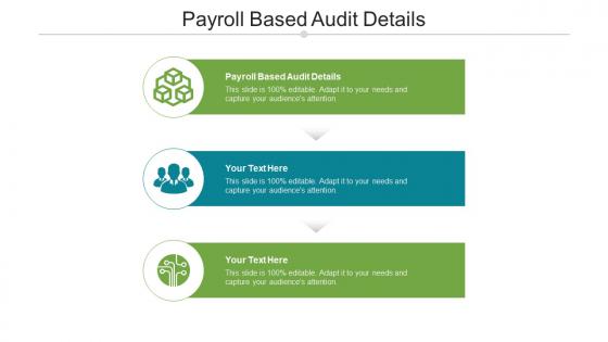 Payroll based audit details ppt powerpoint presentation infographics good cpb