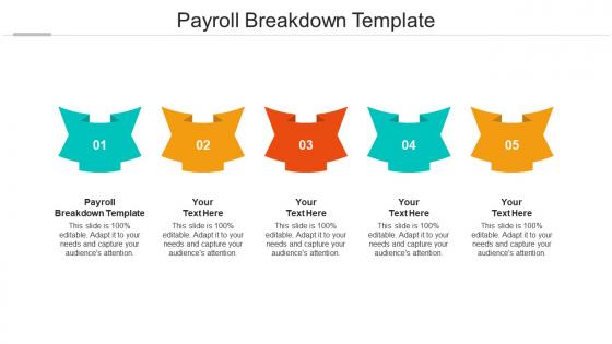 Payroll breakdown template ppt powerpoint presentation show demonstration cpb