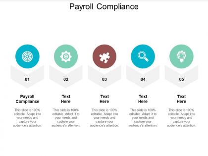 Payroll compliance ppt powerpoint presentation examples cpb