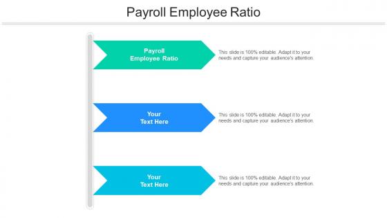 Payroll employee ratio ppt powerpoint presentation gallery outfit cpb