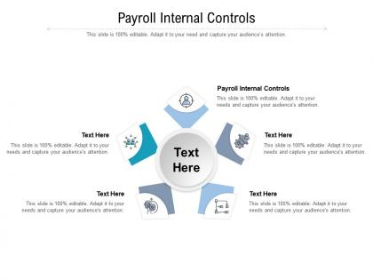 Payroll internal controls ppt powerpoint presentation portfolio graphics design cpb