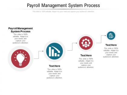 Payroll management system process ppt powerpoint presentation portfolio slides cpb