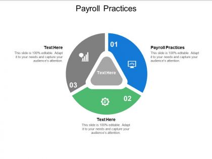 Payroll practices ppt powerpoint presentation slides guidelines cpb