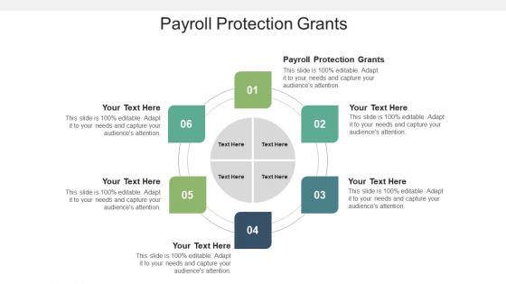 Payroll protection grants ppt powerpoint presentation model picture cpb