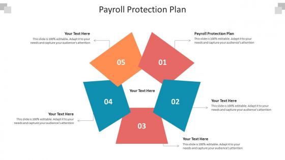 Payroll protection plan ppt powerpoint presentation model infographics cpb