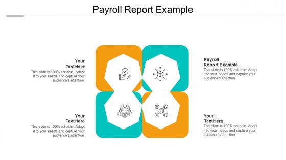 Payroll report example ppt powerpoint presentation visual aids layouts cpb