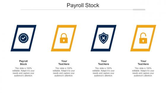 Payroll Stock Ppt Powerpoint Presentation Styles Vector Cpb