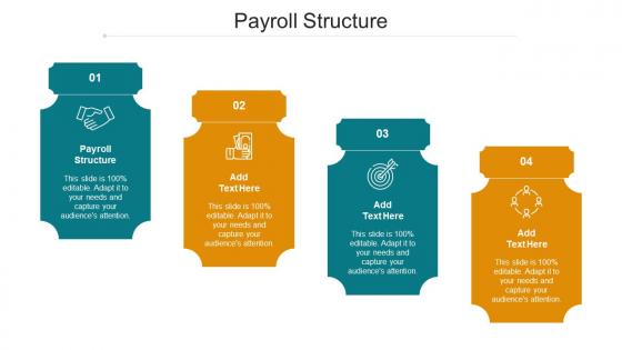 Payroll Structure Ppt Powerpoint Presentation Outline Portrait Cpb