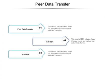 Peer data transfer ppt powerpoint presentation portfolio model cpb