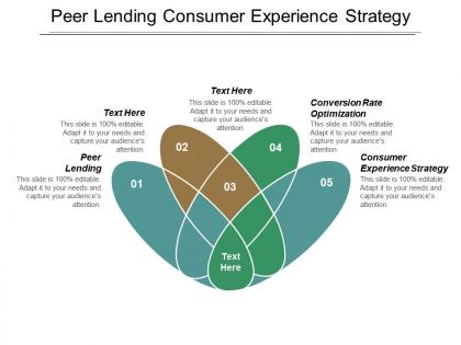 Peer lending consumer experience strategy conversion rate optimization cpb