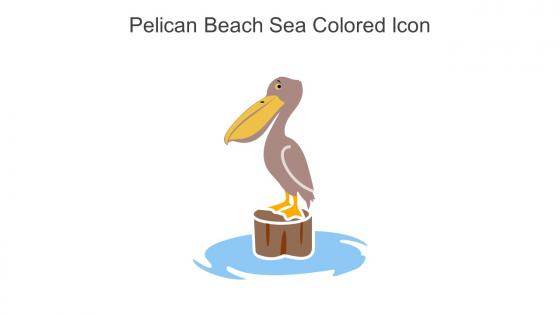 Pelican Beach Sea Colored Icon In Powerpoint Pptx Png And Editable Eps Format