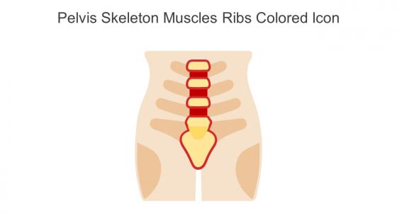Pelvis Skeleton Muscles Ribs Colored Icon In Powerpoint Pptx Png And Editable Eps Format
