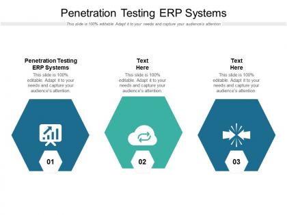 Penetration testing erp systems ppt powerpoint presentation infographic template elements cpb