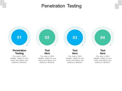Penetration testing ppt powerpoint presentation slides design templates cpb