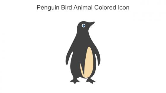 Penguin Bird Animal Colored Icon In Powerpoint Pptx Png And Editable Eps Format