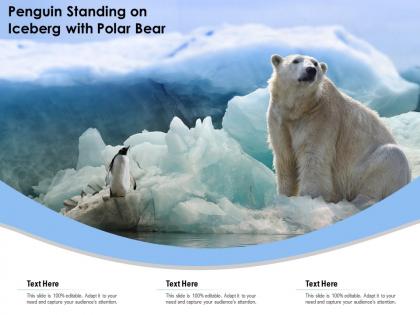 Penguin standing on iceberg with polar bear