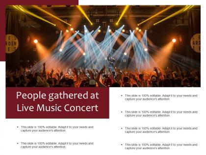 People gathered at live music concert