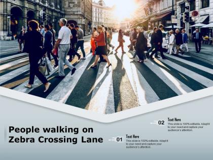 People walking on zebra crossing lane