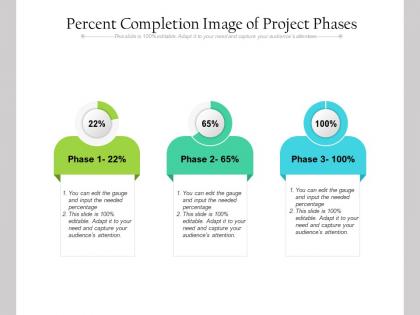 Percent completion image of project phases