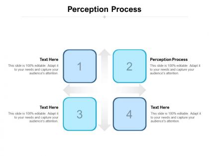 Perception process ppt powerpoint presentation infographics clipart cpb