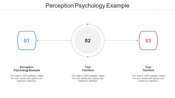 Perception psychology example ppt powerpoint presentation portfolio backgrounds cpb
