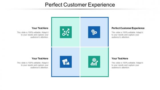 Perfect customer experience ppt powerpoint presentation show influencers cpb